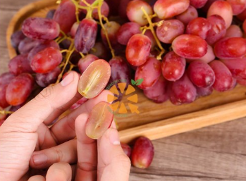 M&oacute;n ăn quen thuộc gi&uacute;p chống nắng v&agrave; tia cực t&iacute;m, phụ nữ đừng bỏ lỡ dịp h&egrave; n&agrave;y- Ảnh 6.