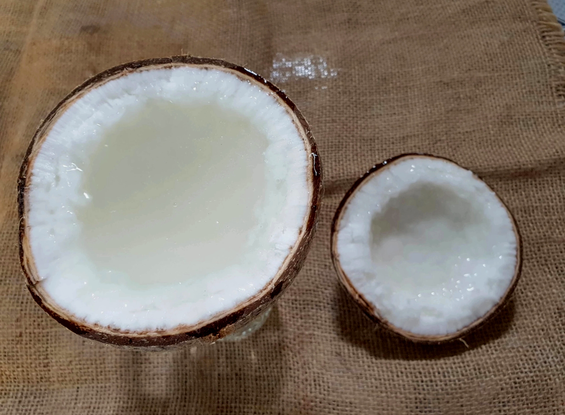 Dừa s&aacute;p ở Tr&agrave; Vinh lần đầu ti&ecirc;n c&oacute; lễ hội ri&ecirc;ng- Ảnh 1.