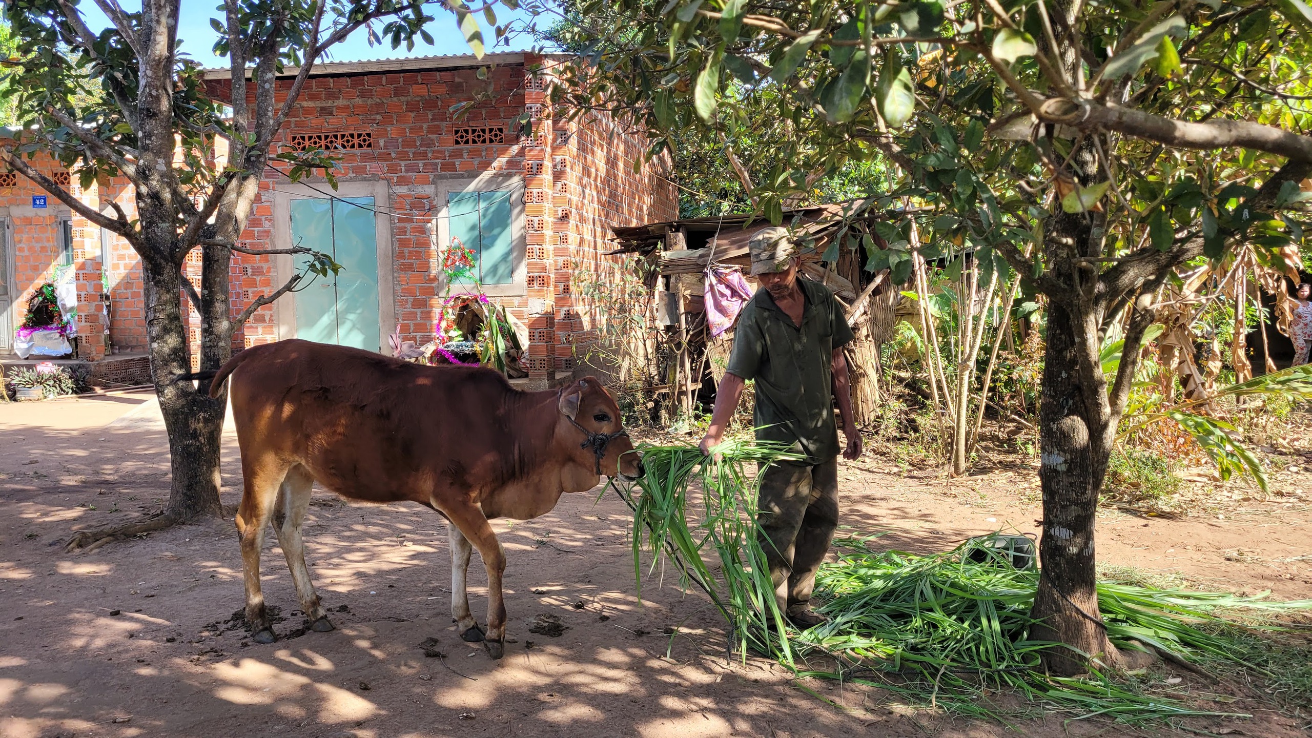 Đ&atilde; c&oacute; kết luận thanh tra vụ "dự &aacute;n cấp b&ograve; lại h&oacute;a... b&ecirc;"- Ảnh 1.