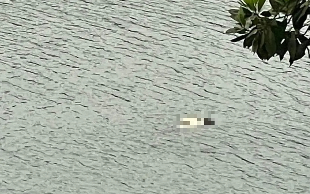 Thi thể c&ocirc; g&aacute;i nổi tr&ecirc;n s&ocirc;ng Chu sau nhiều ng&agrave;y mất t&iacute;ch