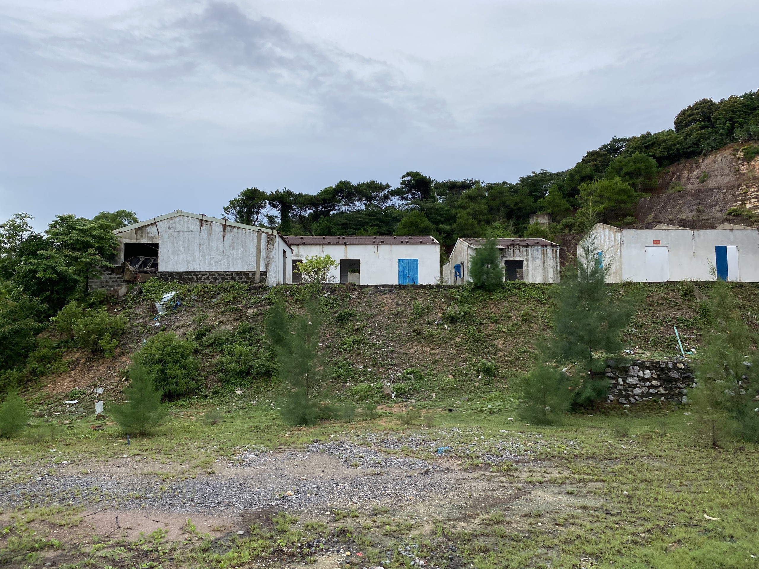 Quảng Ninh khắc phục bất cập khu cảng c&aacute; triệu đ&ocirc; ở huyện C&ocirc; T&ocirc;- Ảnh 3.