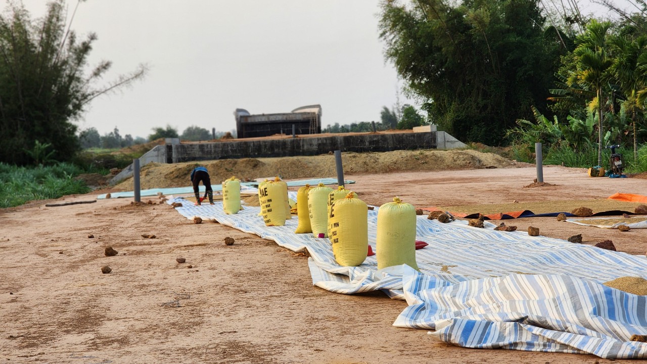 C&ocirc;ng trường dự &aacute;n đường ven biển gần 1.200 tỷ vắng lặng- Ảnh 3.