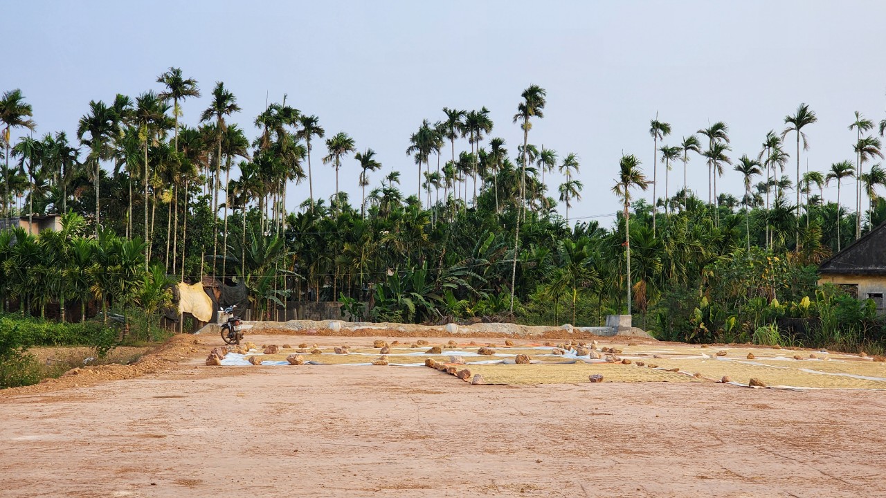 C&ocirc;ng trường dự &aacute;n đường ven biển gần 1.200 tỷ vắng lặng- Ảnh 9.