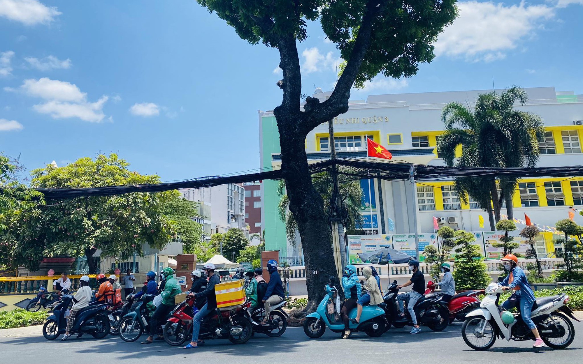 Người d&acirc;n TP.HCM lưu luyến khi hơn 400 c&acirc;y xanh phải đốn hạ để l&agrave;m tuyến metro số 2