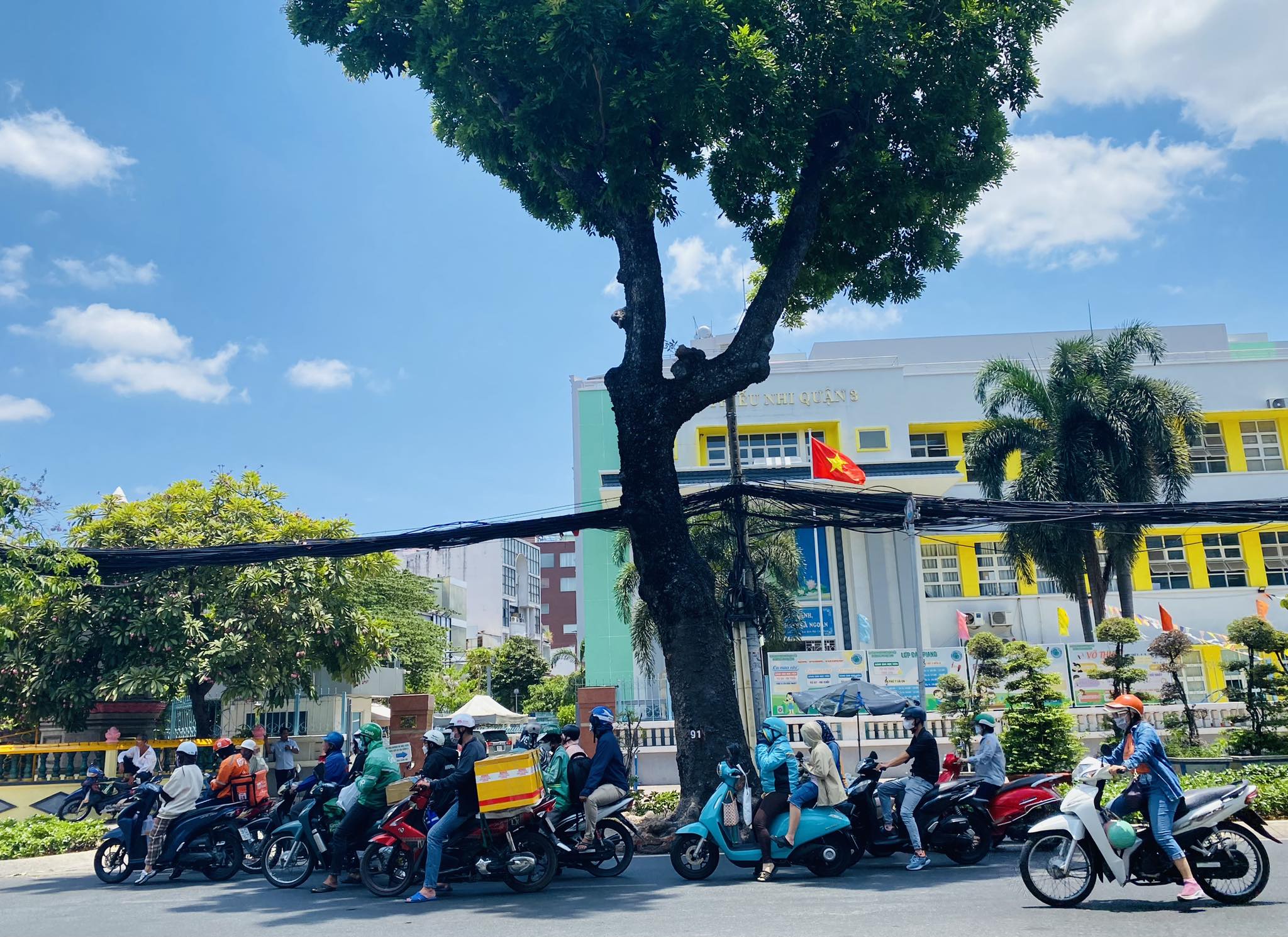 TP.HCM c&oacute; trồng lại c&acirc;y xanh sau khi chặt hơn 400 c&acirc;y l&agrave;m tuyến metro số 2?- Ảnh 2.