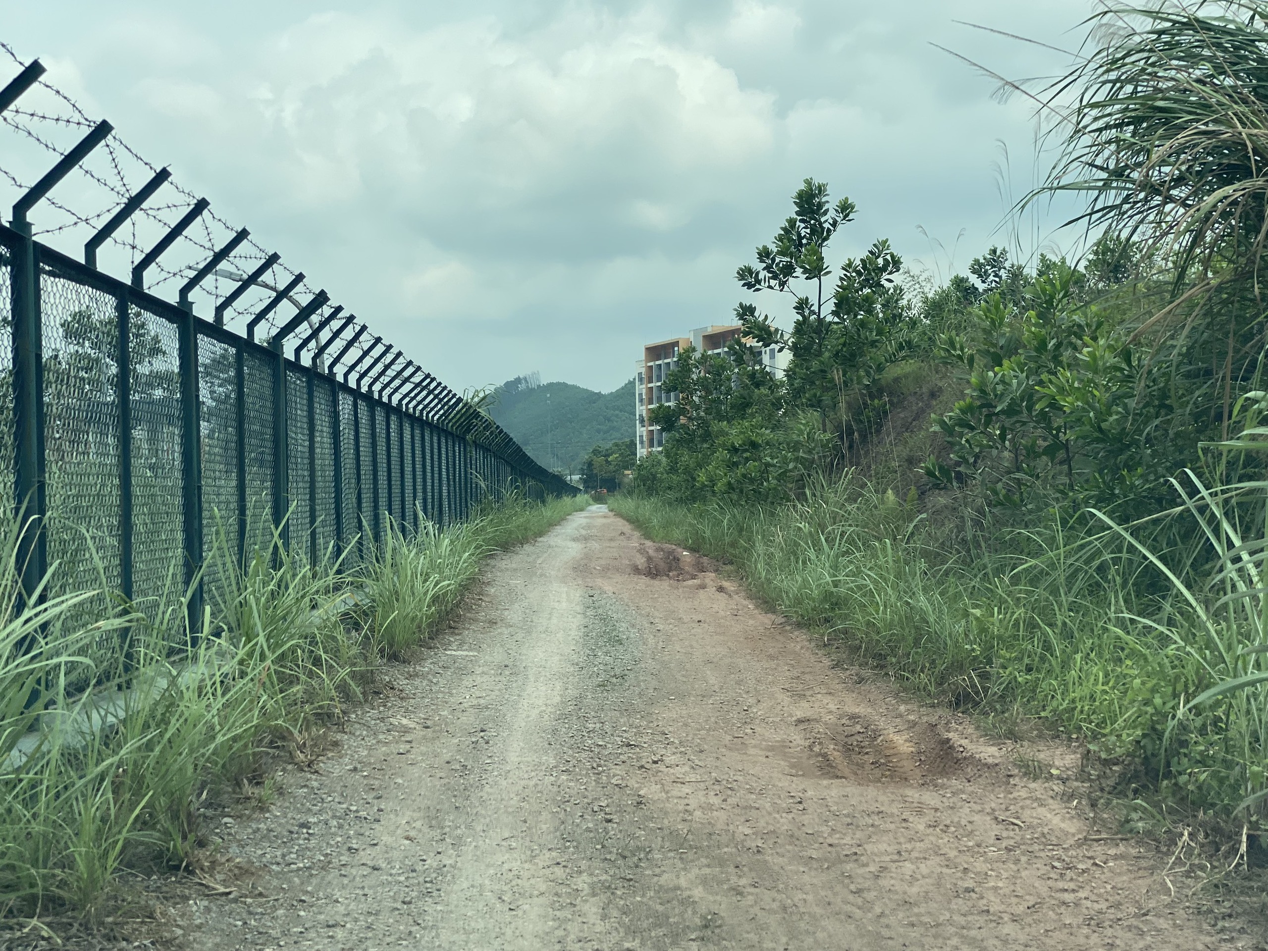 Quảng Ninh: Dự &aacute;n dừng đầu tư, h&agrave;ng chục hộ d&acirc;n "mắc kẹt"- Ảnh 4.