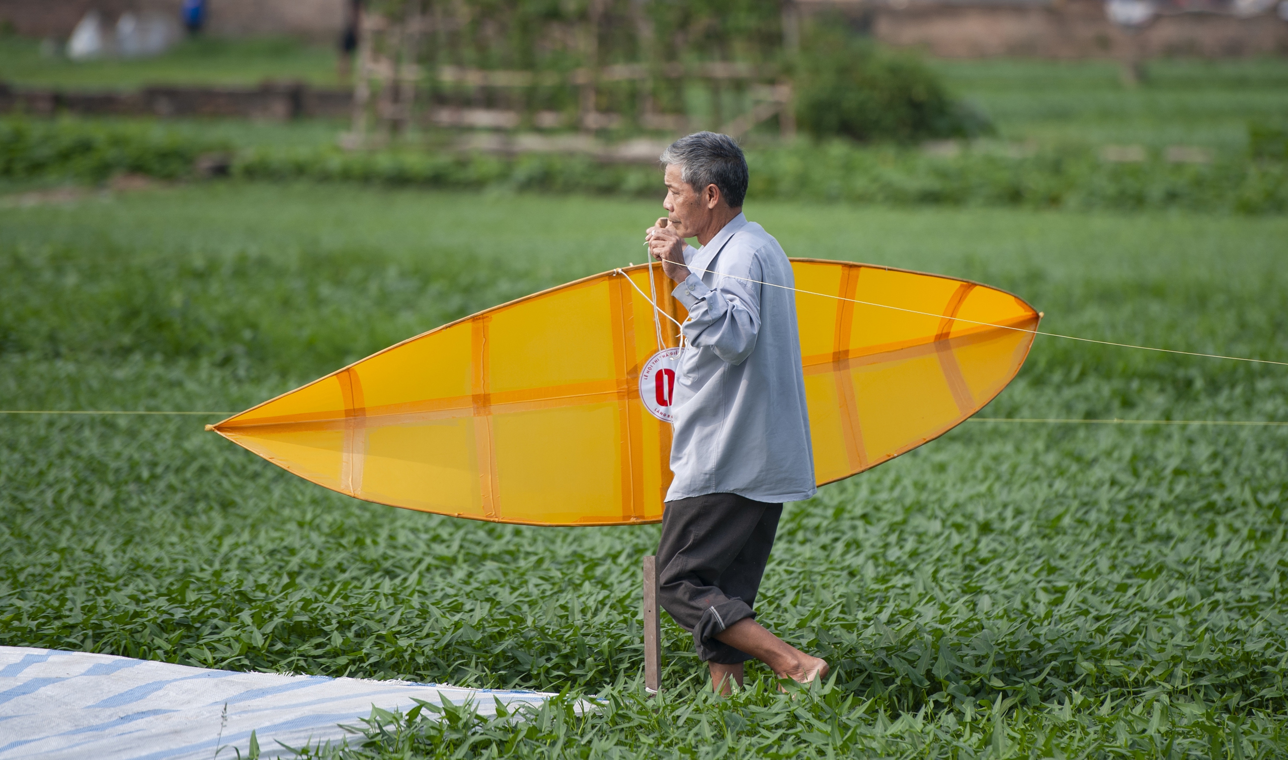 Độc đ&aacute;o lễ hội thả diều l&agrave;ng B&aacute; Dương Nội- Ảnh 10.