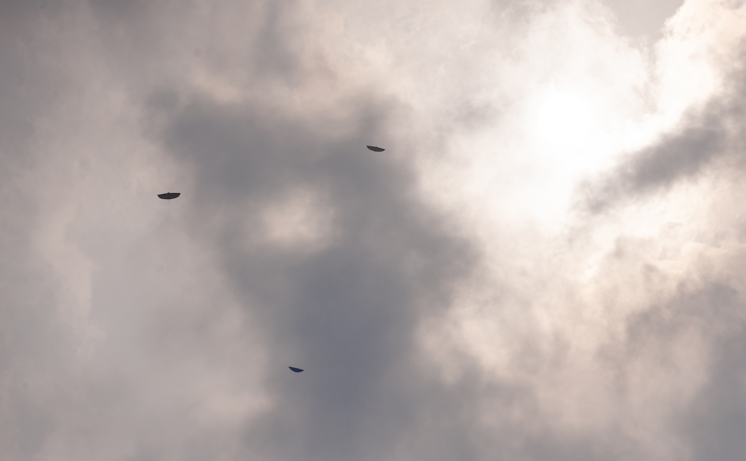 Độc đ&aacute;o lễ hội thả diều l&agrave;ng B&aacute; Dương Nội- Ảnh 16.