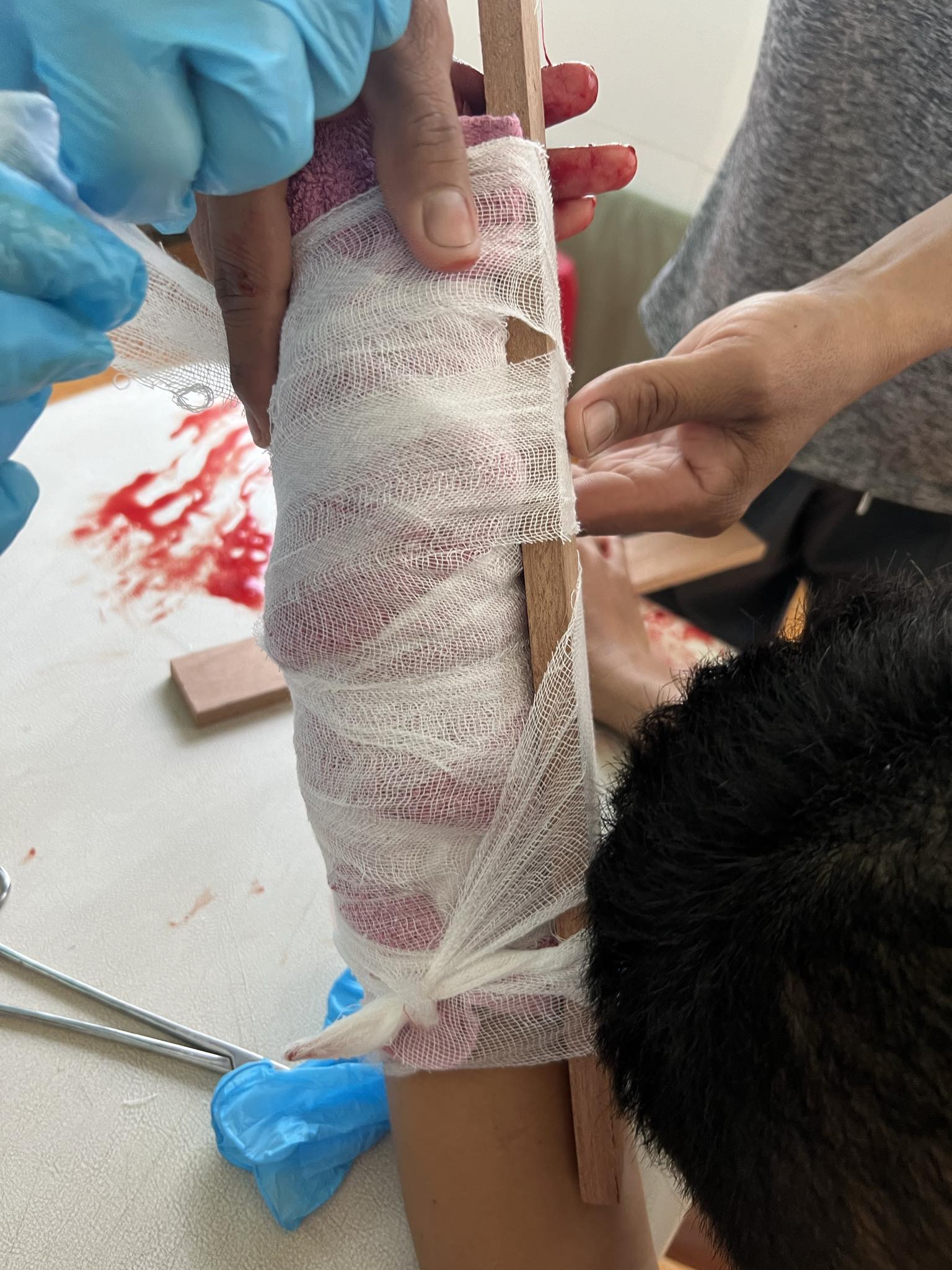 5 người ập v&agrave;o nh&agrave; ch&eacute;m 2 người trọng thương ở L&acirc;m Đồng- Ảnh 2.