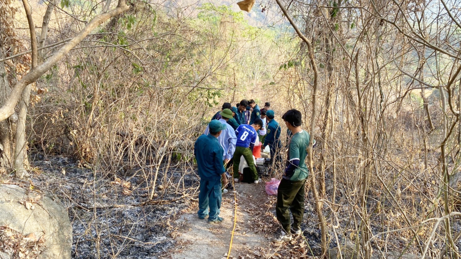 An Giang: Khống chế được đ&aacute;m ch&aacute;y tr&ecirc;n n&uacute;i T&ocirc;- Ảnh 2.