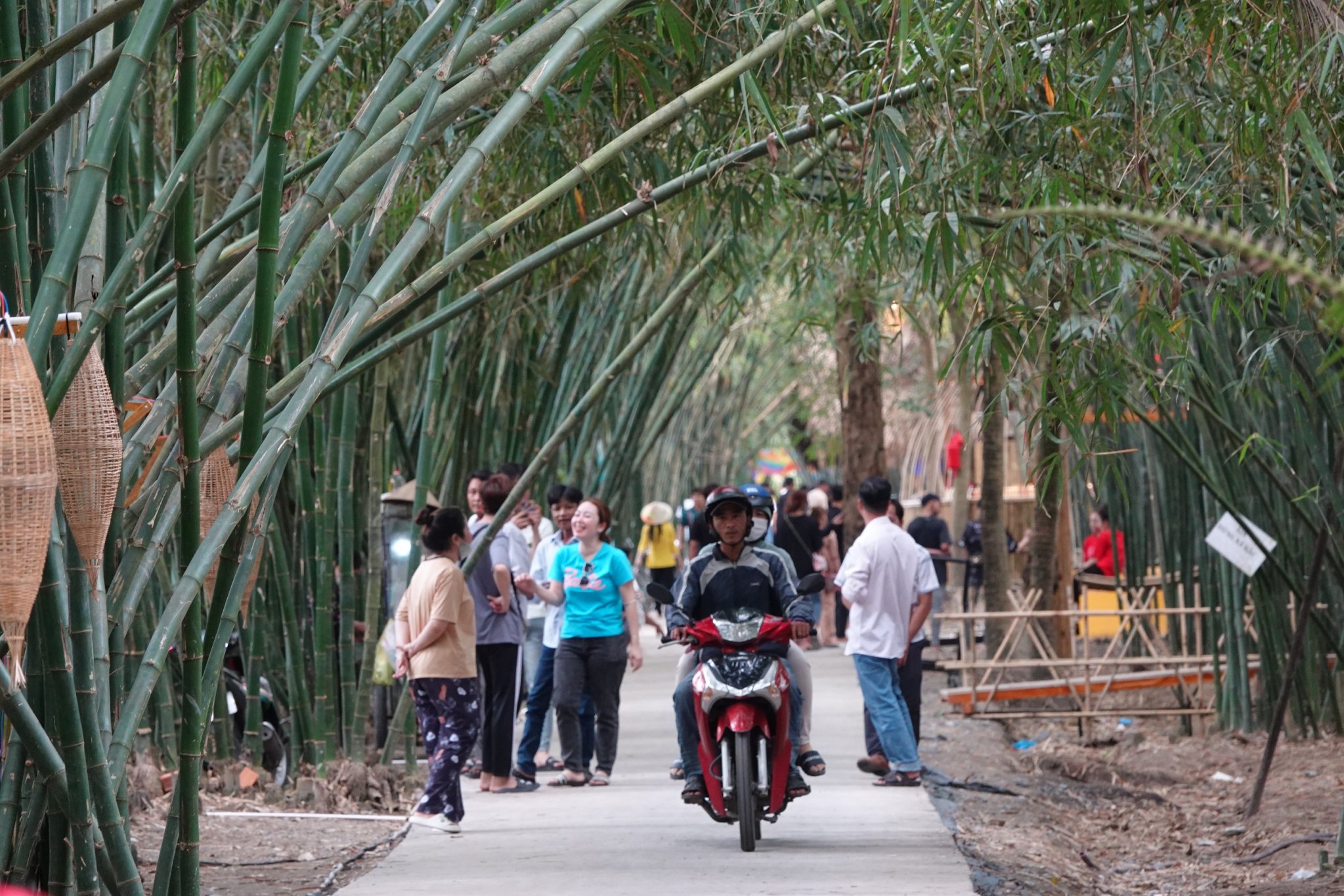 Lễ n&agrave;y t&igrave;m chốn b&igrave;nh y&ecirc;n ở vườn tre đẹp nhất miền T&acirc;y- Ảnh 2.