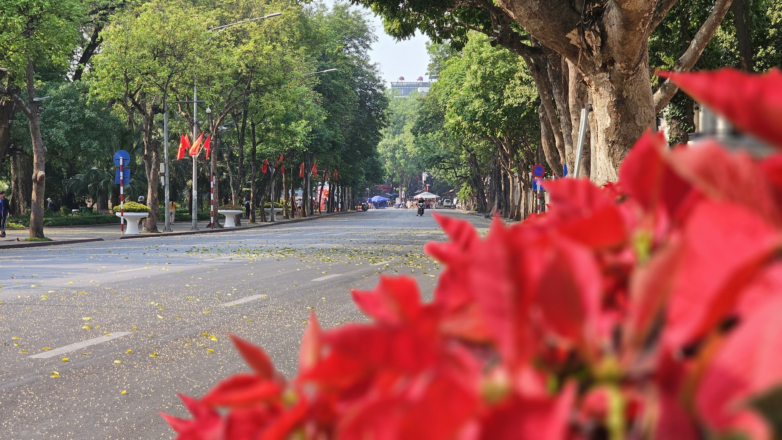 Phố đi bộ H&agrave; Nội lạ thường trong dịp nghỉ lễ- Ảnh 5.