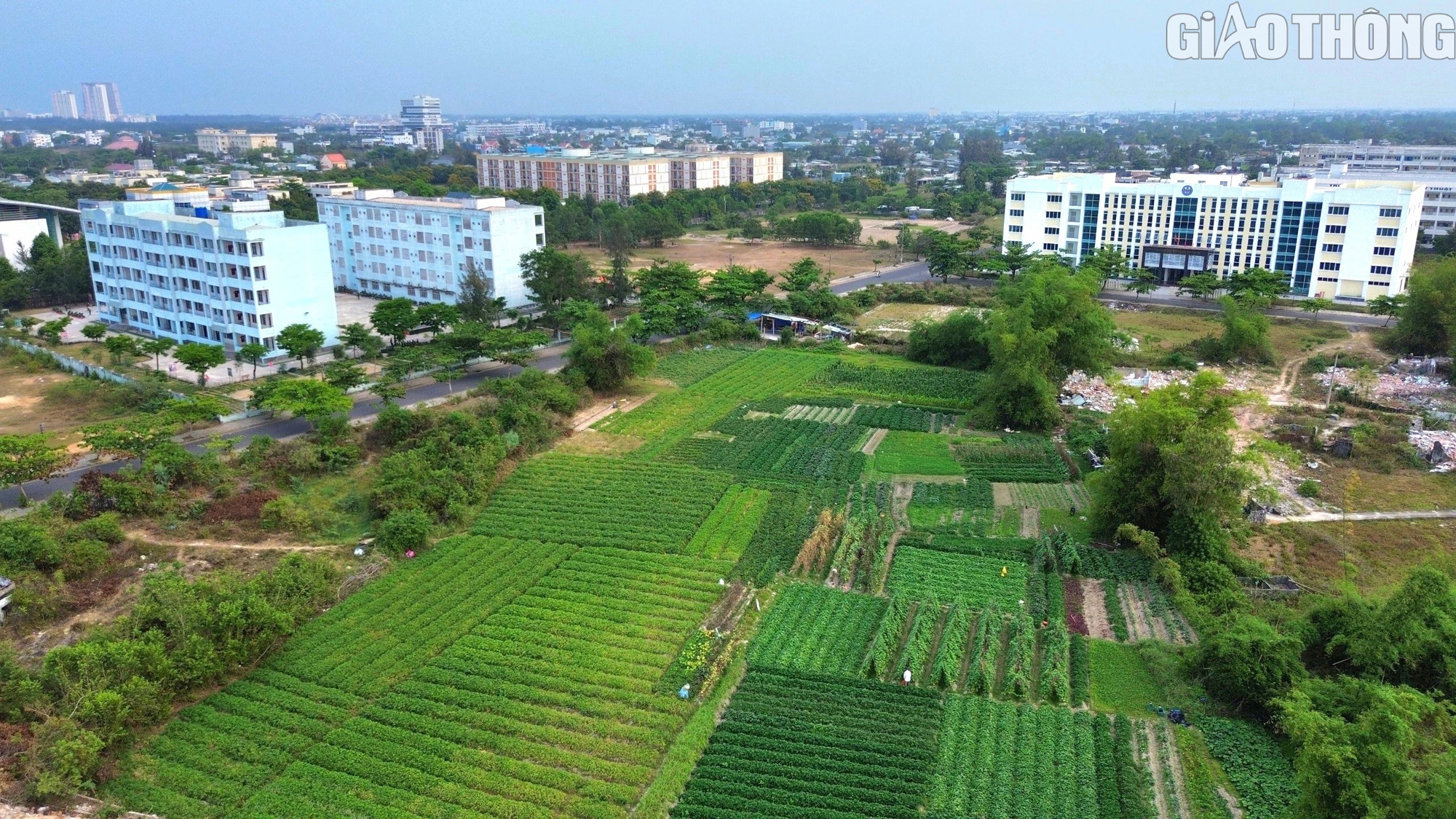 Dự án Làng đại học Đà Nẵng bao giờ hết treo?- Ảnh 7. Dự án Làng đại học Đà Nẵng bao giờ hết treo?- Ảnh 7.