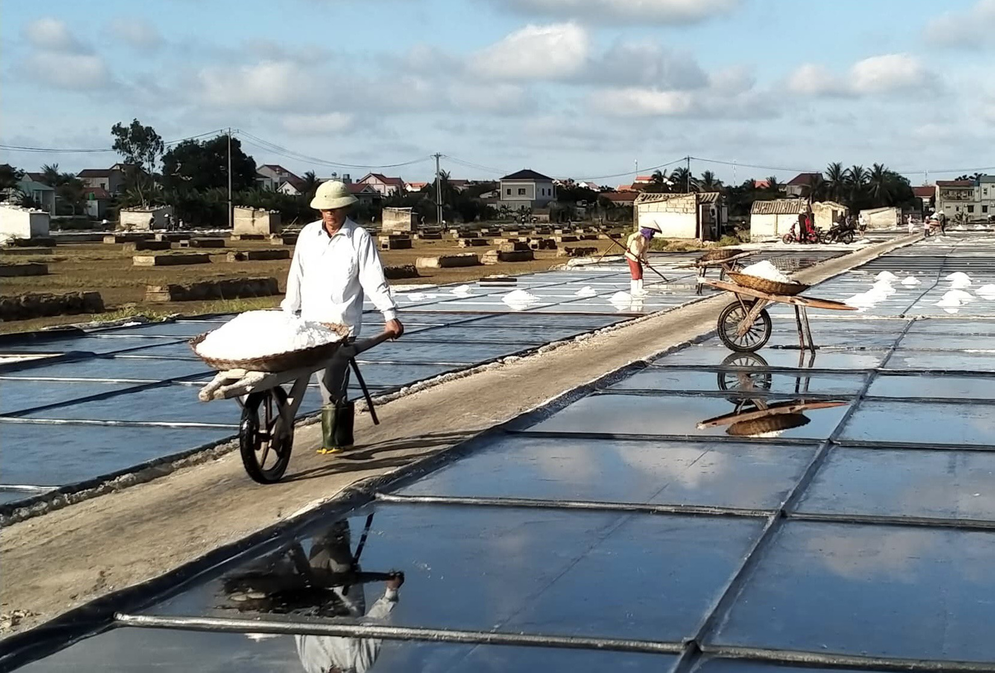 Nữ doanh nh&acirc;n t&igrave;m vị ngọt trong muối- Ảnh 3.