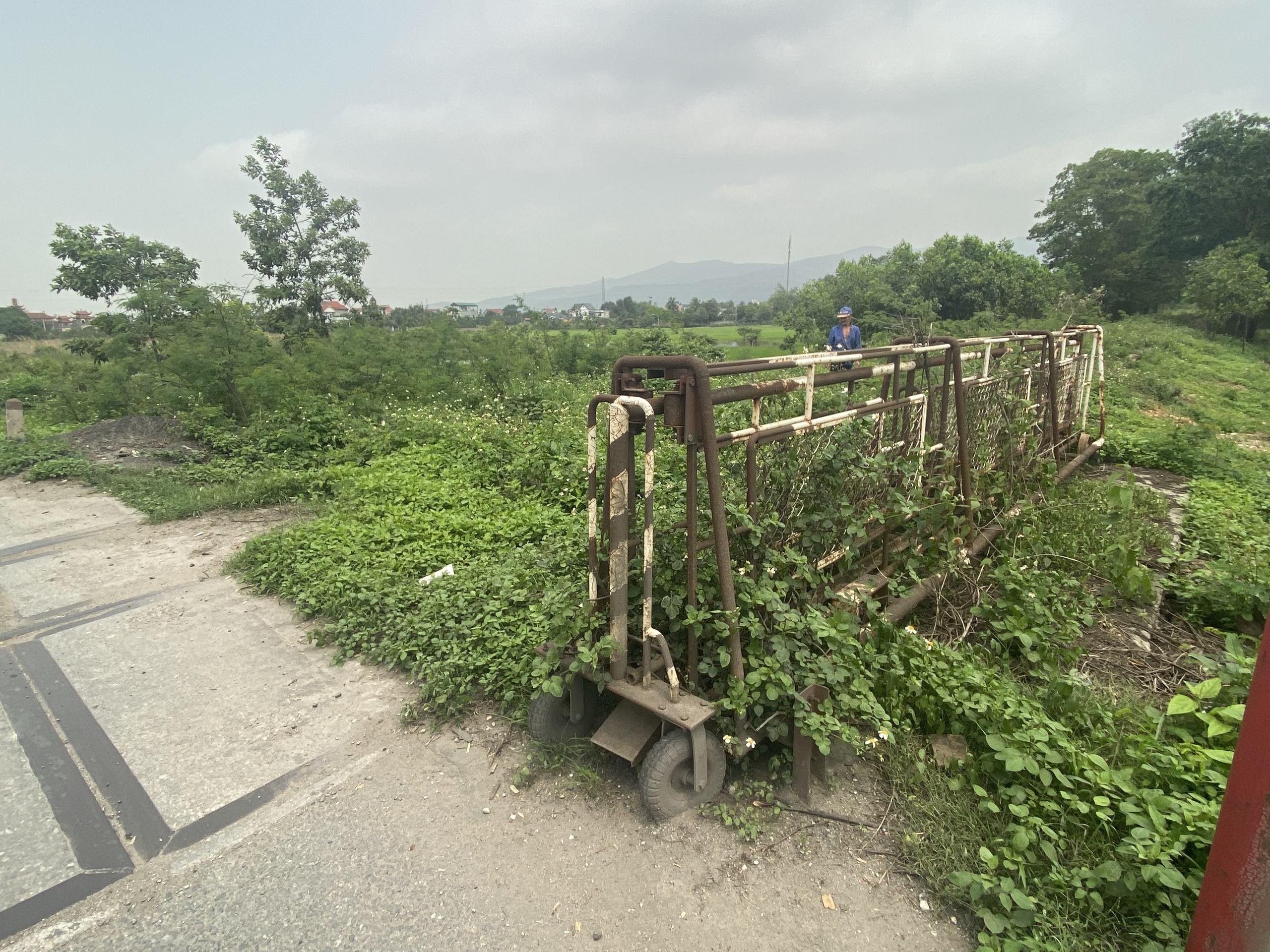 Quảng Ninh: Bất cập từ một tuyến đường sắt chuy&ecirc;n dụng bỏ hoang- Ảnh 2.