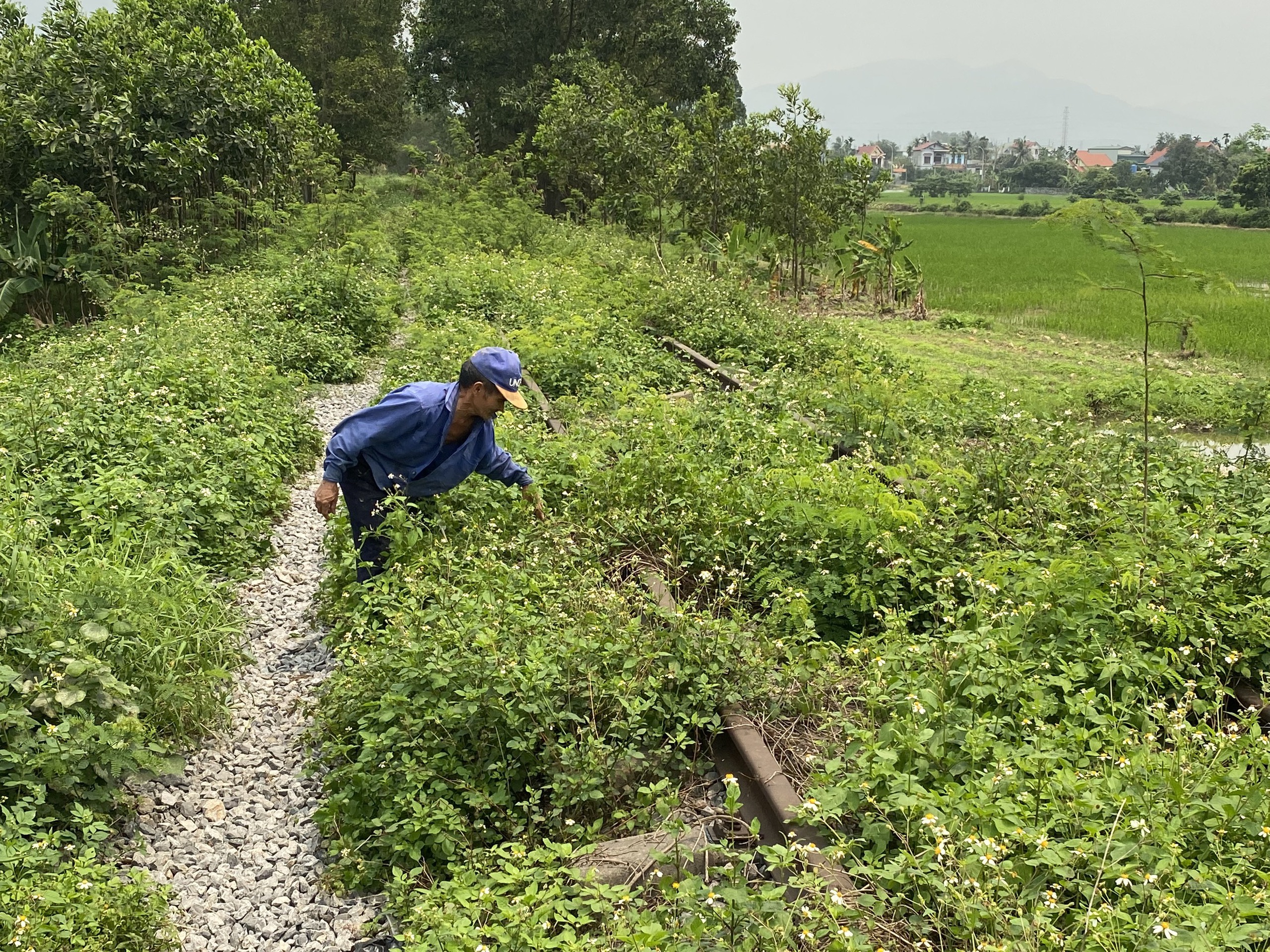 Quảng Ninh: Bất cập từ một tuyến đường sắt chuy&ecirc;n dụng bỏ hoang- Ảnh 1.