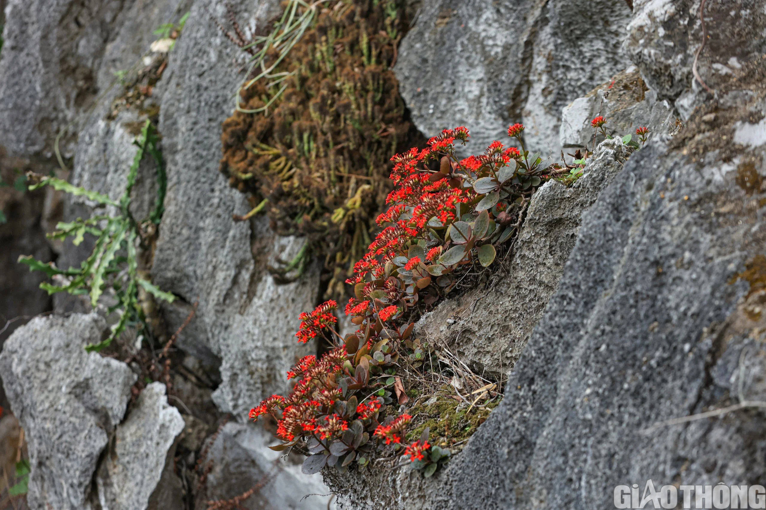 Những người &ldquo;l&iacute;nh&rdquo; đảm bảo an to&agrave;n đường thủy tr&ecirc;n đảo đ&aacute; Ba Mom- Ảnh 9.