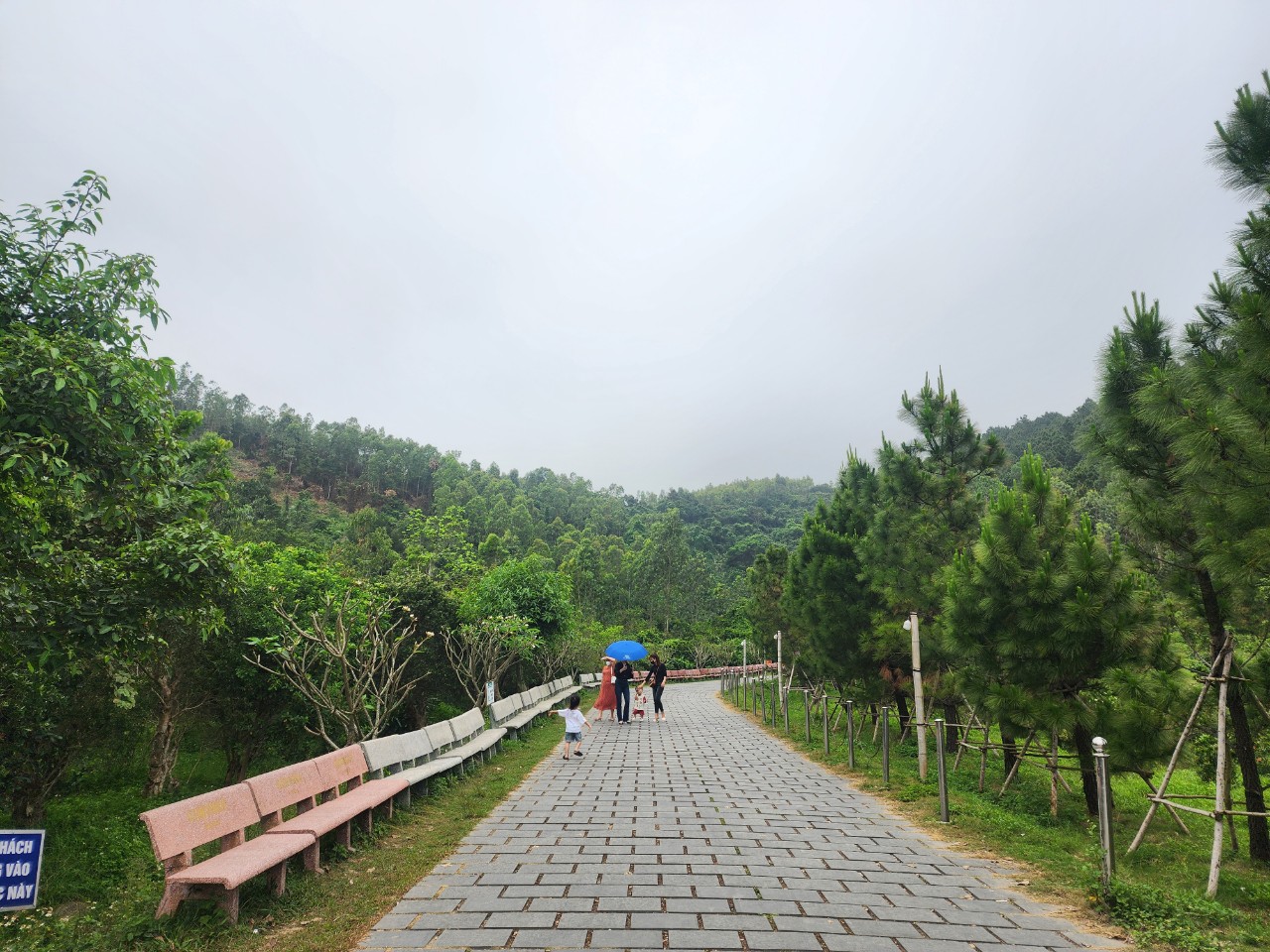 Linh thi&ecirc;ng v&ugrave;ng đất Vũng Ch&ugrave;a - điểm xuất ph&aacute;t giải chạy Marathon v&igrave; ATGT 2024- Ảnh 3.