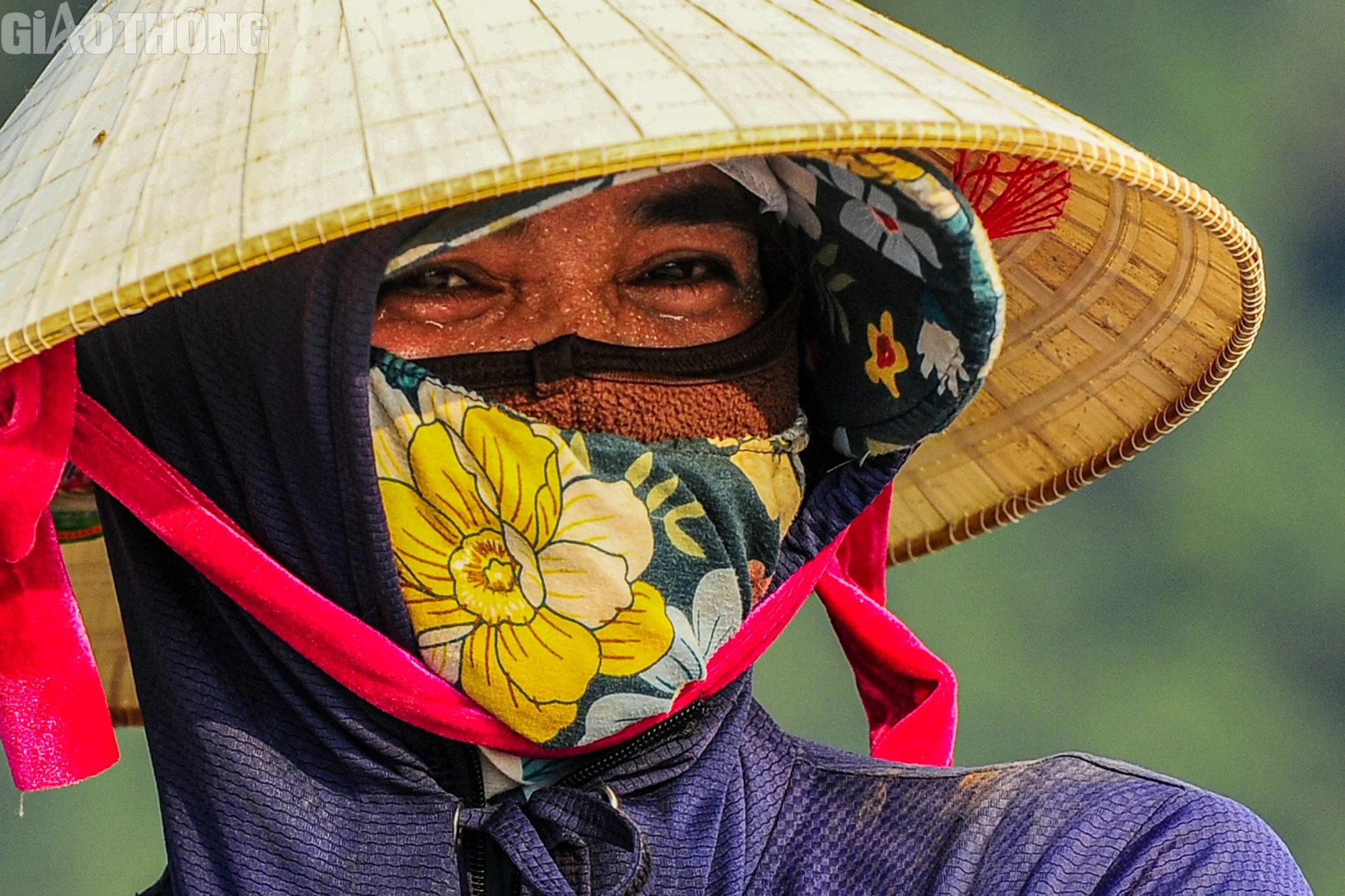 C&ocirc;ng nh&acirc;n mướt mồ h&ocirc;i dưới c&aacute;i nắng hơn 40 độ C nơi c&ocirc;ng trường đường d&acirc;y 500kV mạch 3- Ảnh 6.