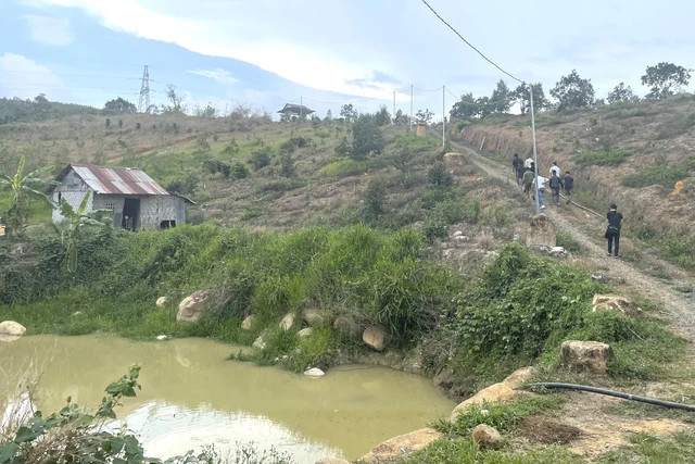 C&ocirc;ng an tạm giam 6 đối tượng bắt giữ người tr&aacute;i ph&aacute;p luật ở L&acirc;m Đồng- Ảnh 1.