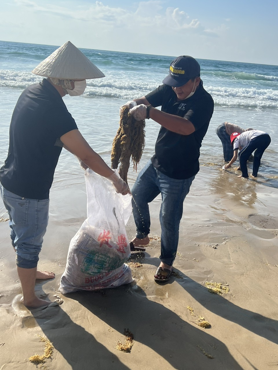 Khẩn trương thu gom dầu v&oacute;n cục dạt v&agrave;o bờ biển Mũi N&eacute;- Ảnh 3.