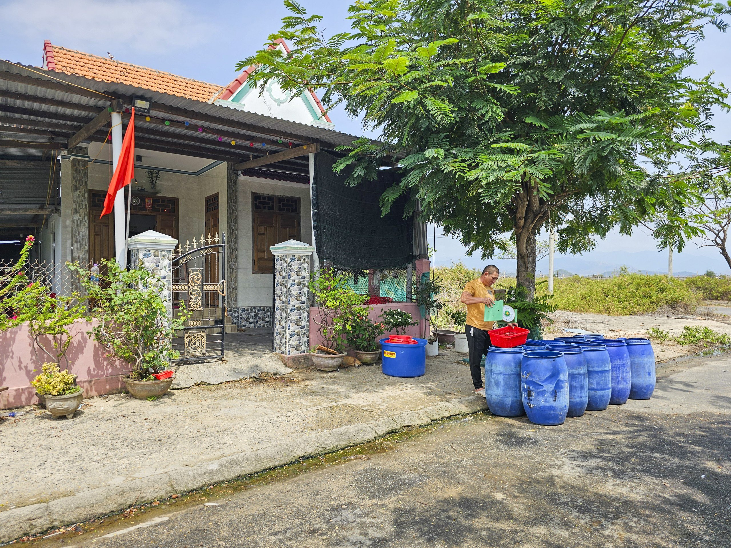 Cận cảnh khu t&aacute;i định cư 50ha, gần 10 năm chỉ c&ograve;n 1 hộ- Ảnh 3.