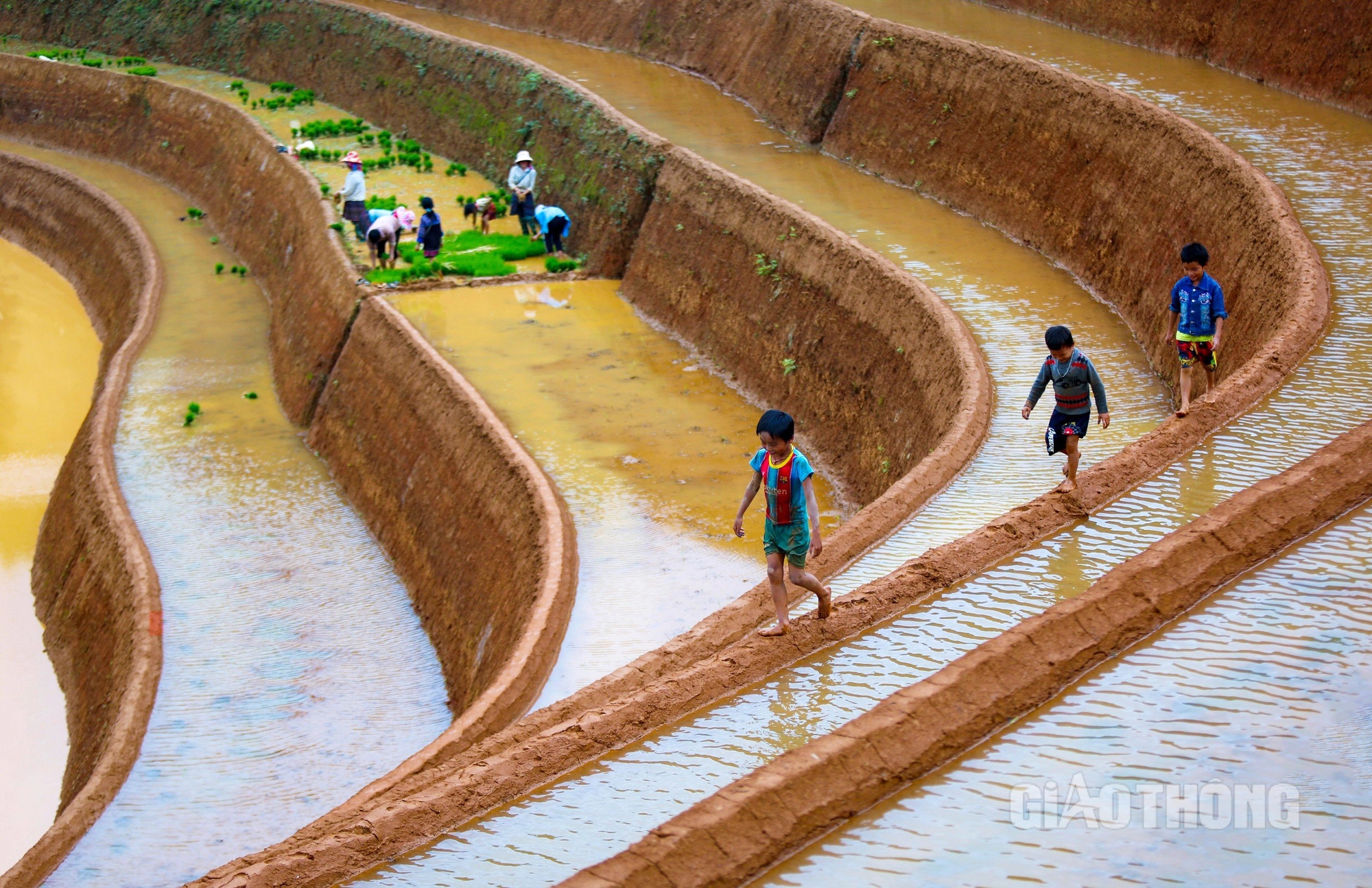 M&ugrave; Cang Chải m&ugrave;a nước đổ: Ruộng bậc thang đẹp "h&uacute;t hồn" du kh&aacute;ch- Ảnh 8.