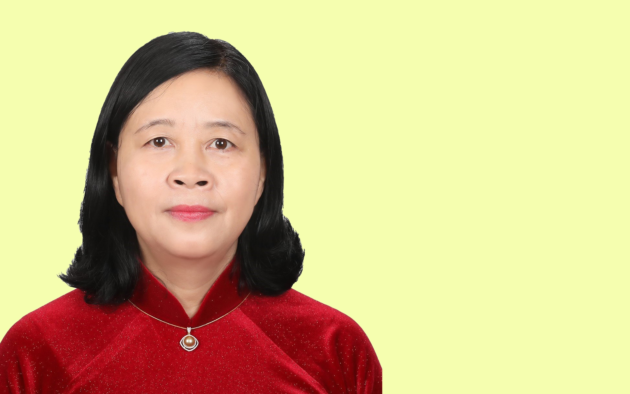 Sự nghiệp nữ Trưởng ban D&acirc;n vận Trung ương B&ugrave;i Thị Minh Ho&agrave;i, t&acirc;n Ủy vi&ecirc;n Bộ Ch&iacute;nh trị- Ảnh 1.