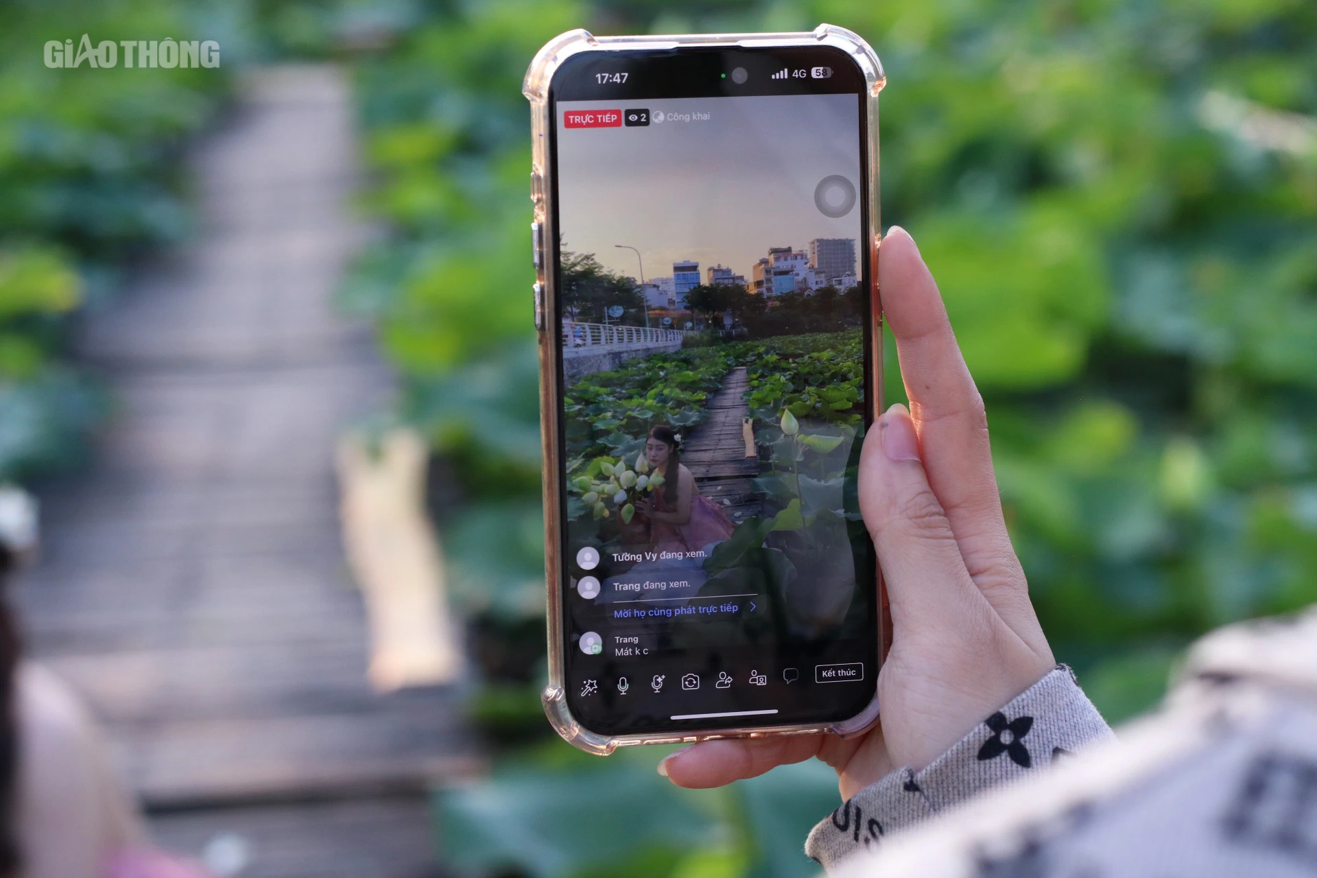 Sen hồ T&acirc;y nở sớm nhưng ế ẩm, c&aacute;c chủ vườn livestream mời kh&aacute;ch- Ảnh 4.