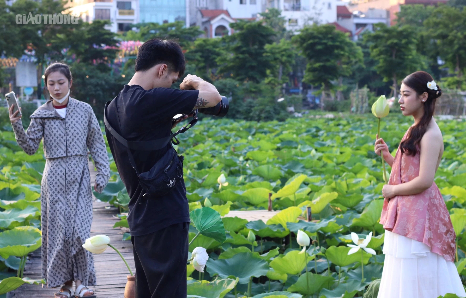 Sen hồ T&acirc;y nở sớm nhưng ế ẩm, c&aacute;c chủ vườn livestream mời kh&aacute;ch- Ảnh 8.