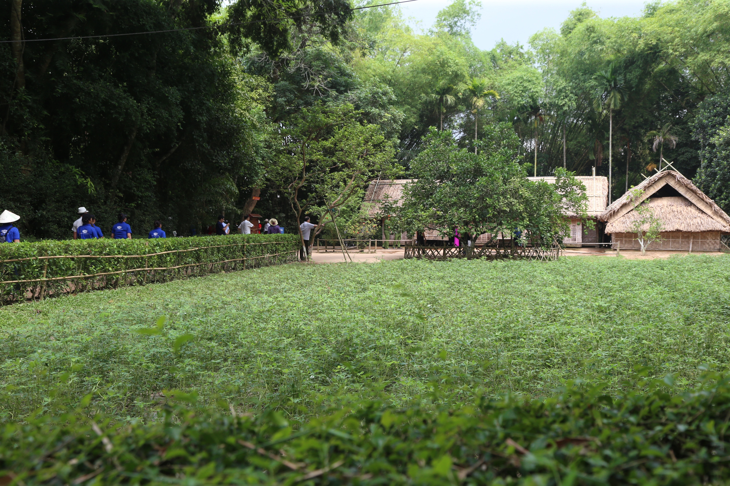 Dòng người tấp nập về thăm quê Bác- Ảnh 5. Dòng người tấp nập về thăm quê Bác- Ảnh 5.