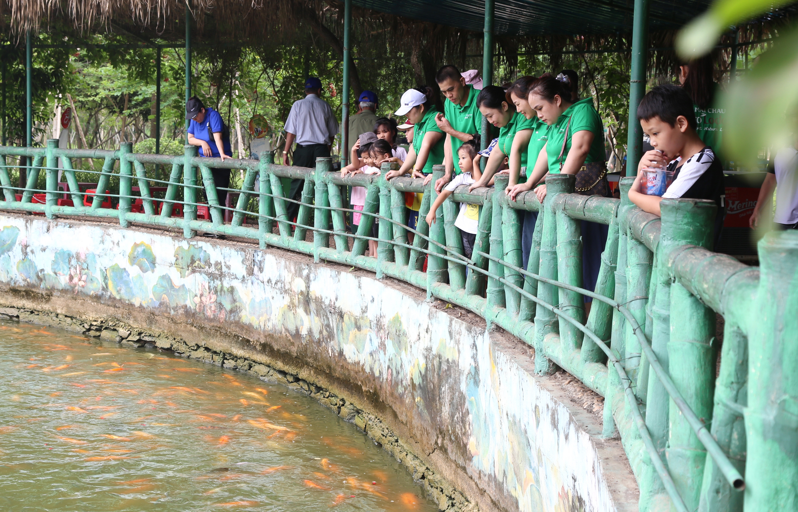 Dòng người tấp nập về thăm quê Bác- Ảnh 14. Dòng người tấp nập về thăm quê Bác- Ảnh 14.