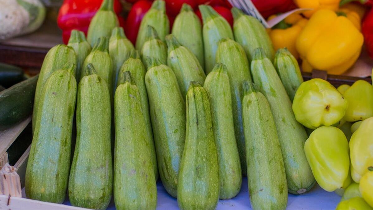Người gi&agrave; dặn: 