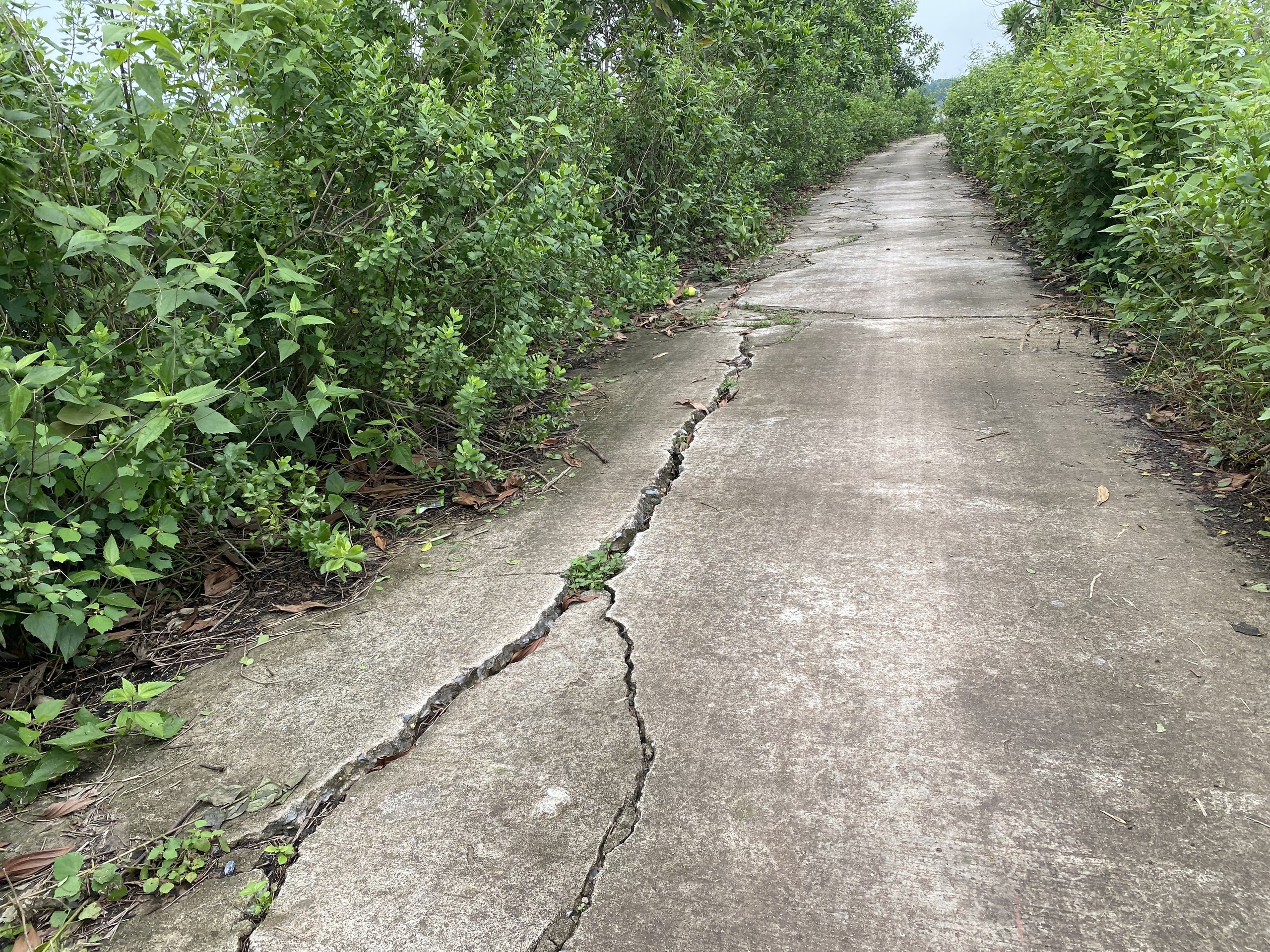 X&oacute;t xa dự &aacute;n triệu đ&ocirc; th&agrave;nh b&atilde;i hoang, đường s&aacute; xuống cấp- Ảnh 4.