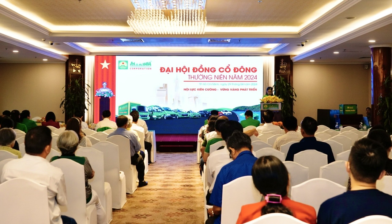 Hoạt động kinh doanh của C&ocirc;ng ty Cổ phần Tập đo&agrave;n Mai Linh khởi sắc- Ảnh 1.