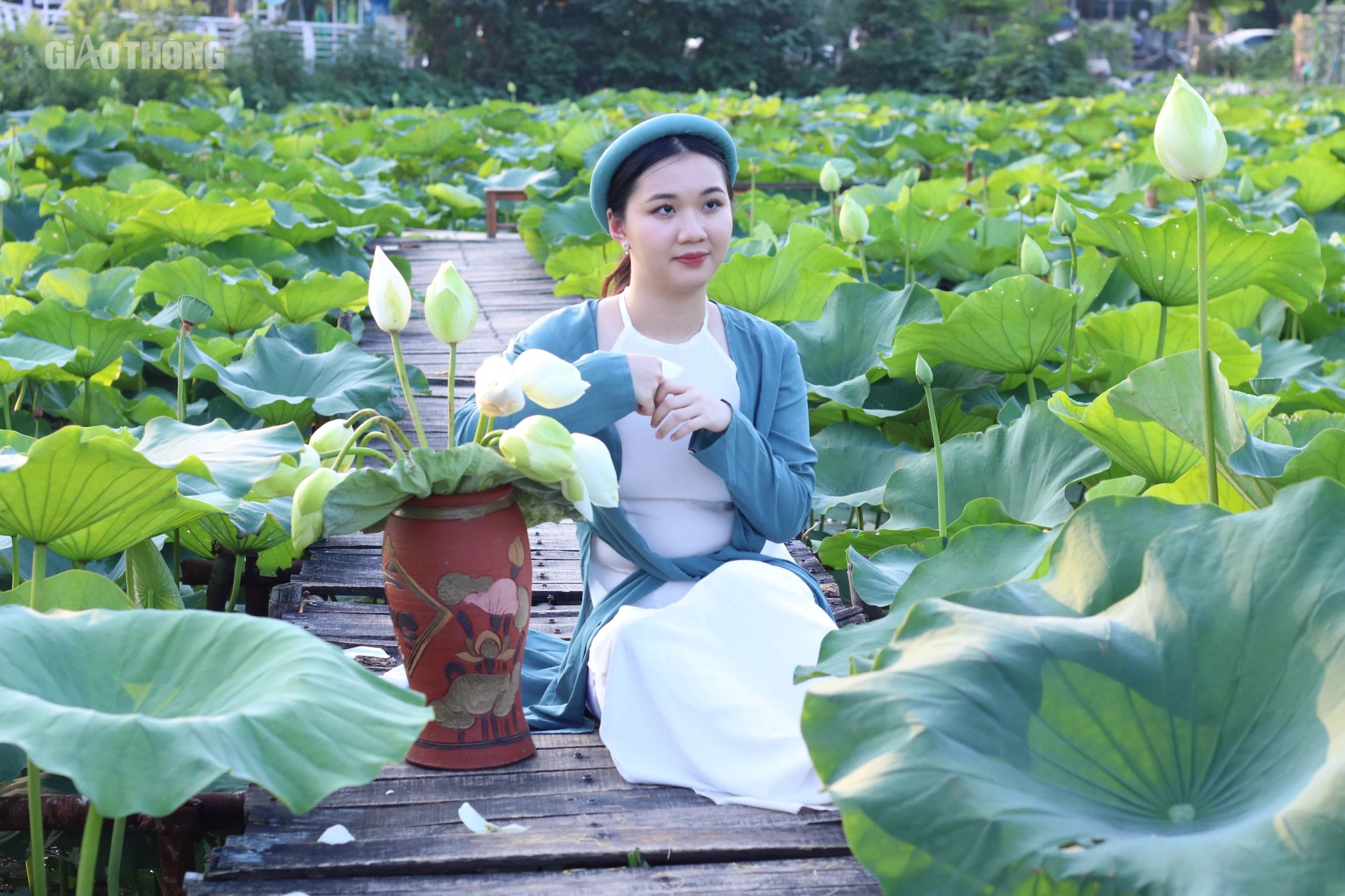 Sen hồ T&acirc;y nở sớm nhưng ế ẩm, c&aacute;c chủ vườn livestream mời kh&aacute;ch- Ảnh 9.