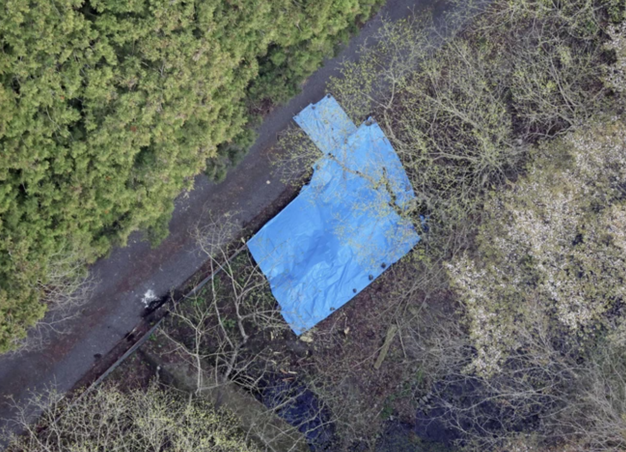 Nam diễn vi&ecirc;n bị bắt khẩn cấp v&igrave; li&ecirc;n quan đến vụ &aacute;n mạng đốt x&aacute;c phi tang- Ảnh 3.