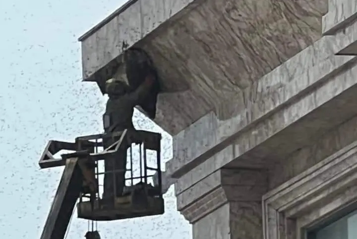 Kh&aacute;ch sạn ph&aacute; tổ ong, 3 người đi đường bị ong đốt nhập viện- Ảnh 1.