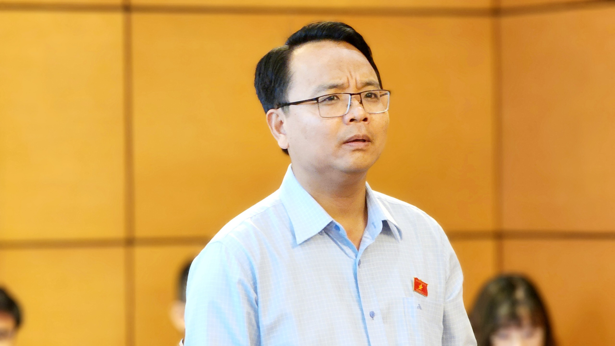 Đại biểu Quốc hội: Quy định chồng ch&eacute;o, liệu c&aacute;n bộ c&oacute; d&aacute;m nhắm mắt l&agrave;m?- Ảnh 3.