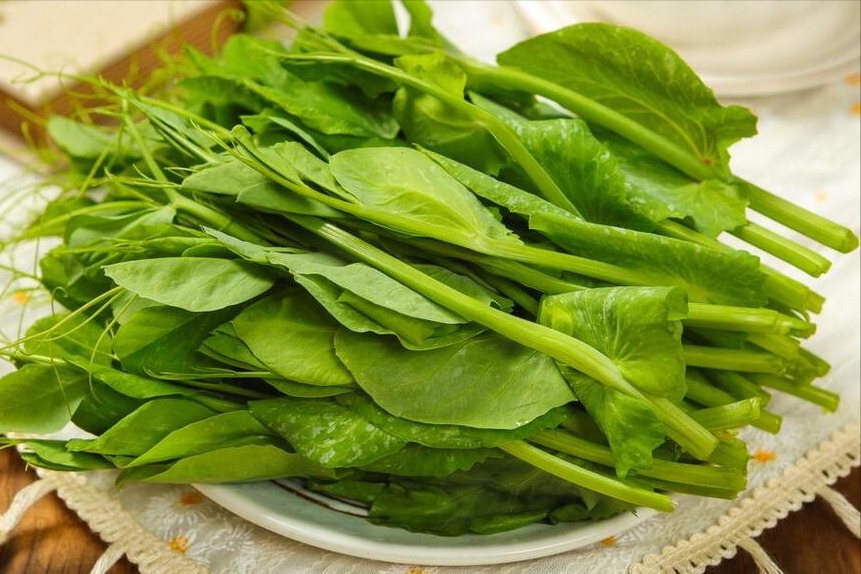 Loại rau m&ugrave;a h&egrave; cực tốt cho gan, người trung ni&ecirc;n, người cao tuổi n&ecirc;n ăn- Ảnh 2.