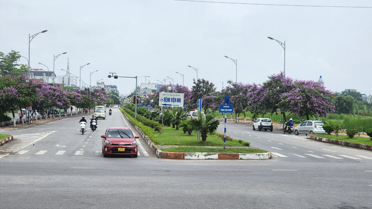 Th&aacute;i B&igrave;nh: Đường gần 480 tỷ đồng sau 3 năm vẫn "nằm tr&ecirc;n giấy"- Ảnh 4.