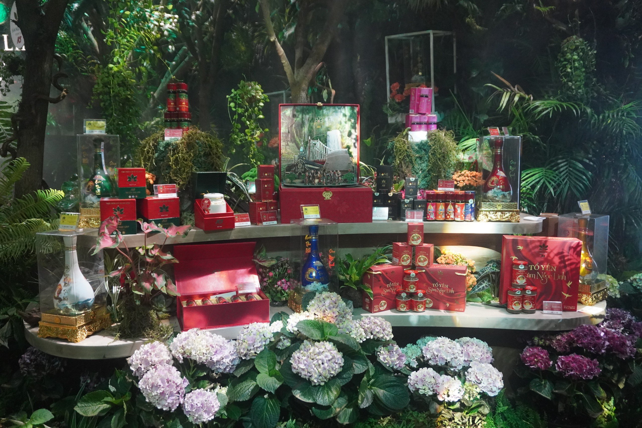 Lễ hội s&acirc;m, dược liệu quốc tế lần đầu tổ chức tại TP.HCM- Ảnh 6.