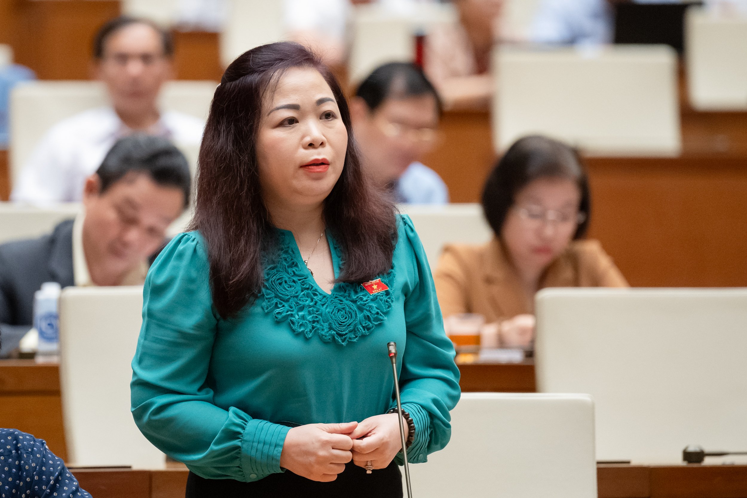 ĐBQH đề xuất l&agrave;m đường cao tốc dưới dạng cầu cạn- Ảnh 3.