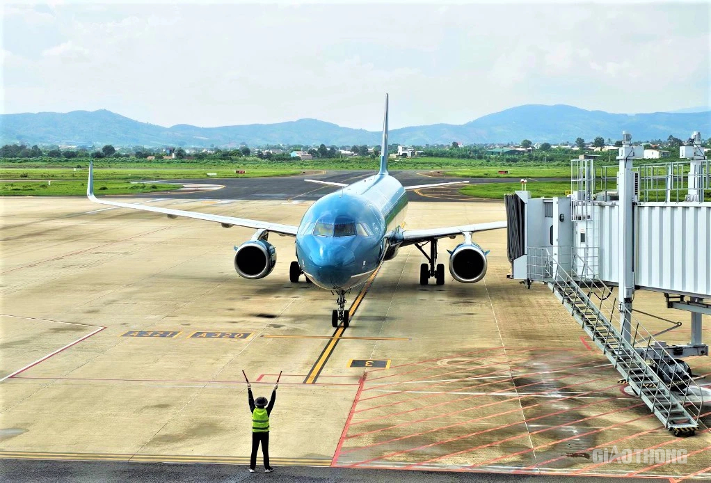 S&acirc;n bay Li&ecirc;n Khương - b&ocirc;ng d&atilde; quỳ khoe sắc tr&ecirc;n cao nguy&ecirc;n xanh- Ảnh 8.