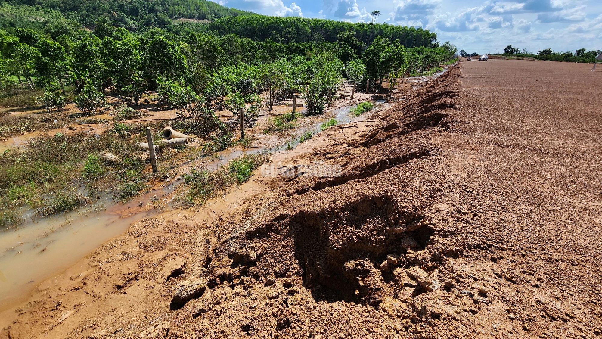 Khắc phục việc xẻ r&atilde;nh tho&aacute;t nước khi thi c&ocirc;ng cao tốc g&acirc;y ngập vườn c&acirc;y- Ảnh 3.