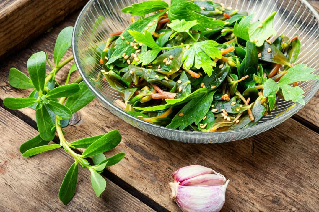 Loại rau "trường thọ" gi&agrave;u vitamin C gấp 16 lần quả mận bị đem cho heo ăn v&igrave; kh&ocirc;ng biết- Ảnh 2.