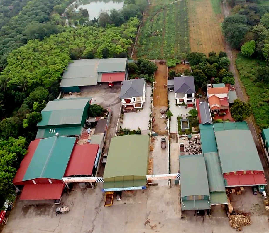 Hải Dương: Sẽ xử l&yacute; nghi&ecirc;m vi phạm tr&ecirc;n đất rừng- Ảnh 1.