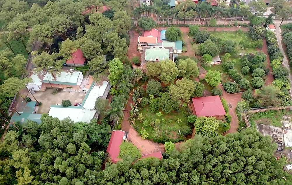 Hải Dương: Sẽ xử l&yacute; nghi&ecirc;m vi phạm tr&ecirc;n đất rừng- Ảnh 2.