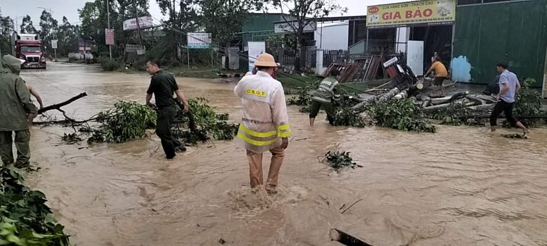 L&acirc;m Đồng: Mưa lớn k&egrave;m gi&oacute; giật mạnh khiến c&acirc;y đổ, tắc nhiều tuyến đường- Ảnh 2.
