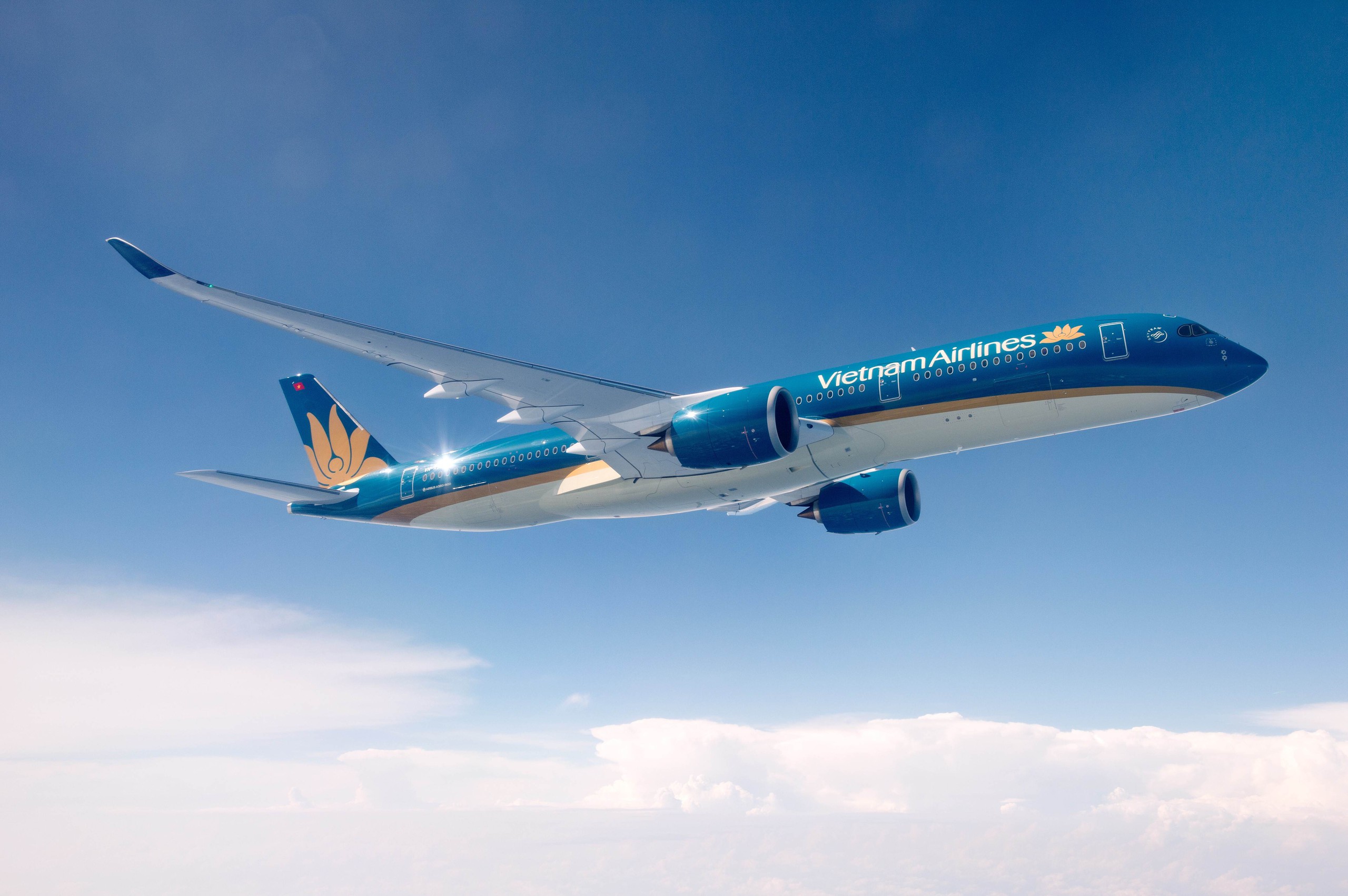Vietnam Airlines lọt top 11 h&atilde;ng h&agrave;ng kh&ocirc;ng h&agrave;ng đầu thế giới- Ảnh 1.
